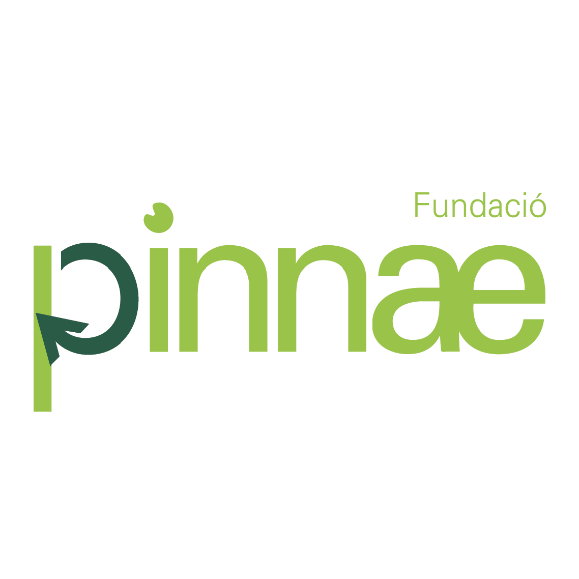 Fundació Pinnae