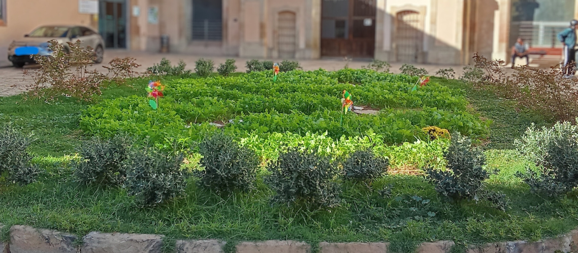 FEM BARRI, FEM VERD! Inauguració del Jardí del Casc Antic (VNG)