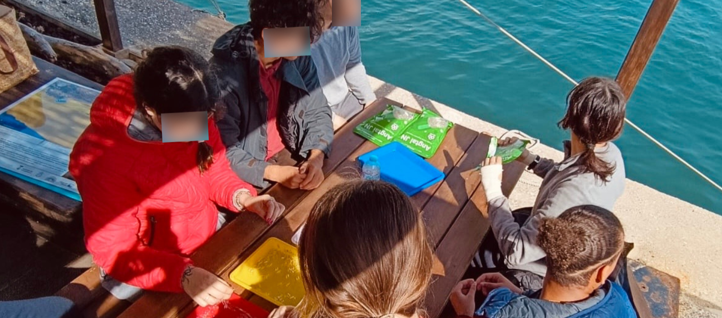 Suport en activitats escolars: ReCoralitza’t – BioEscola Marina