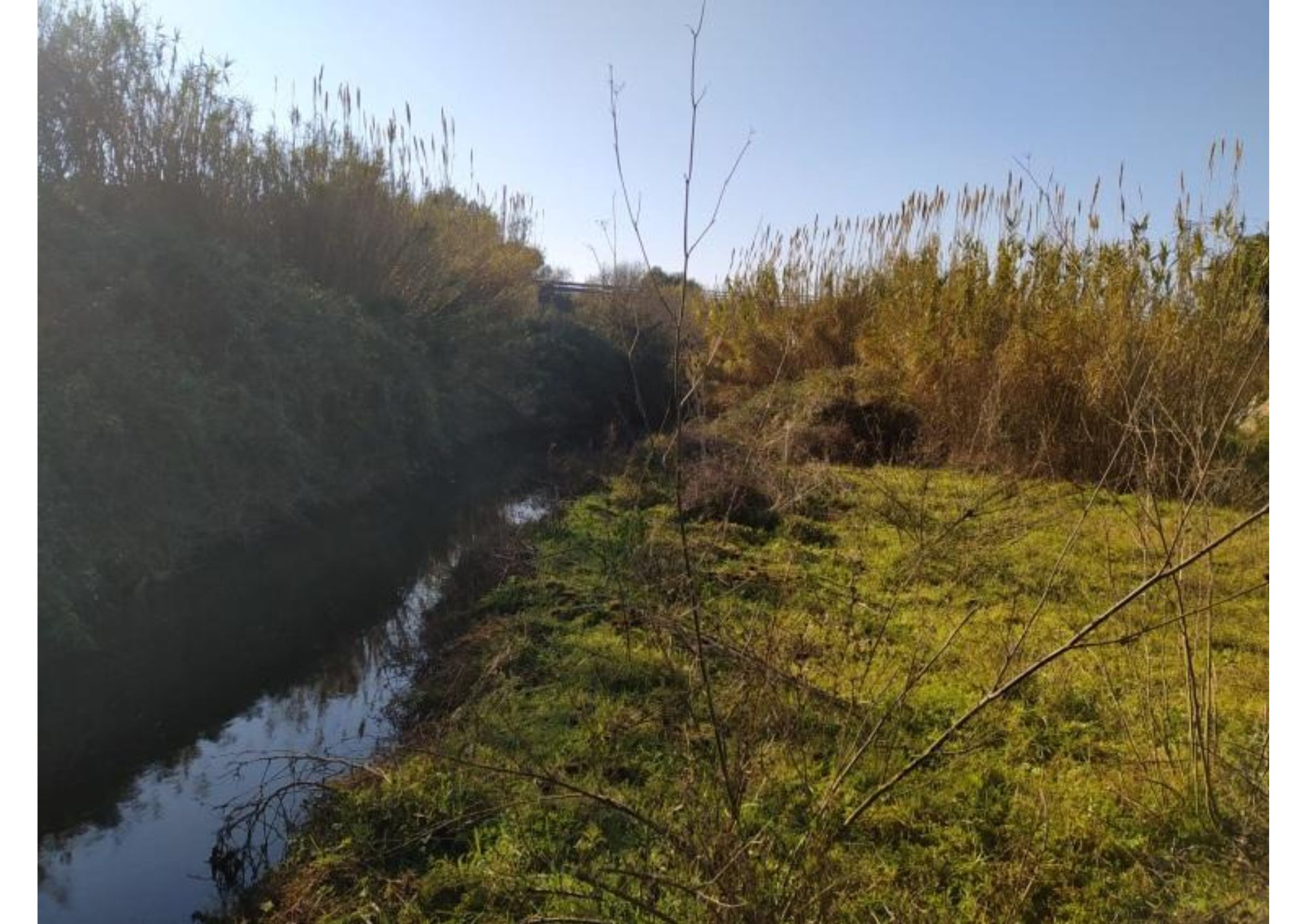 Grup d’Estudis i Protecció dels Ecosistemes Catalans-Ecologistes de Catalunya. GEPEC-EdC