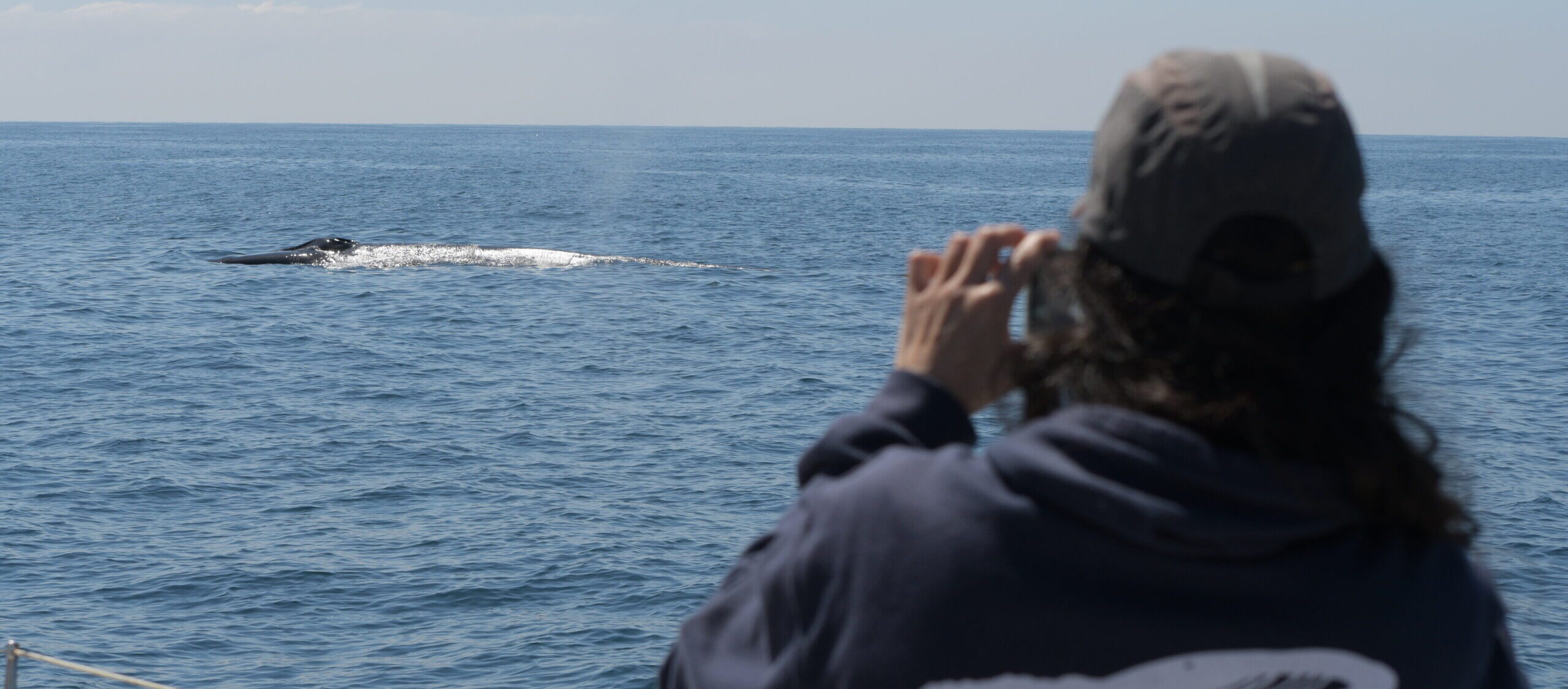 Sortida de navegació gener – Projecte DORNA