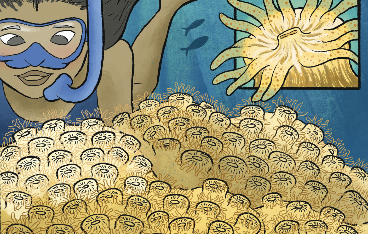 Sessions formatives per activitats escolars – ReCoralitza’t 26/2