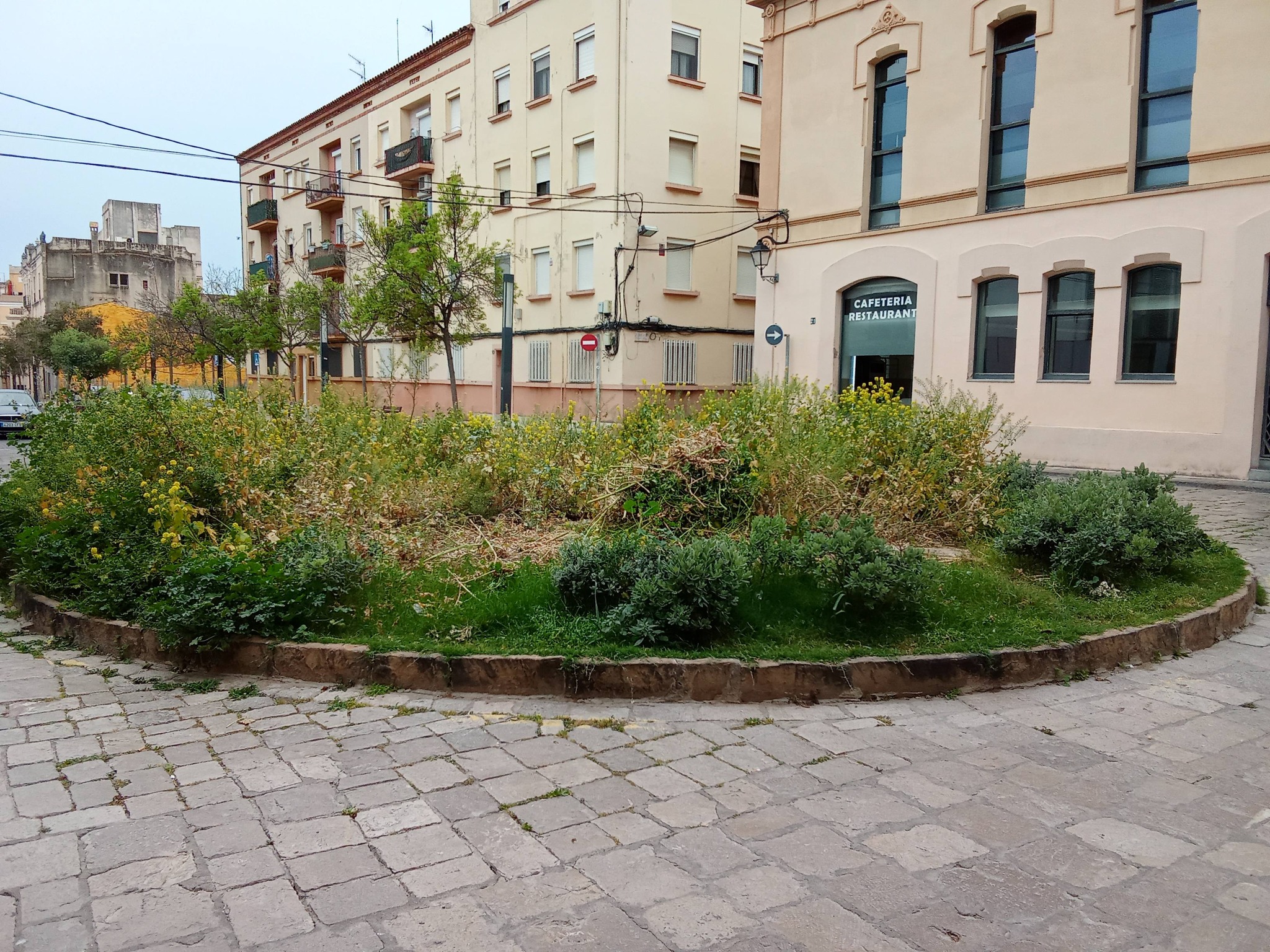 Voluntariat a la Jardinera de la Rambla dels Josepets