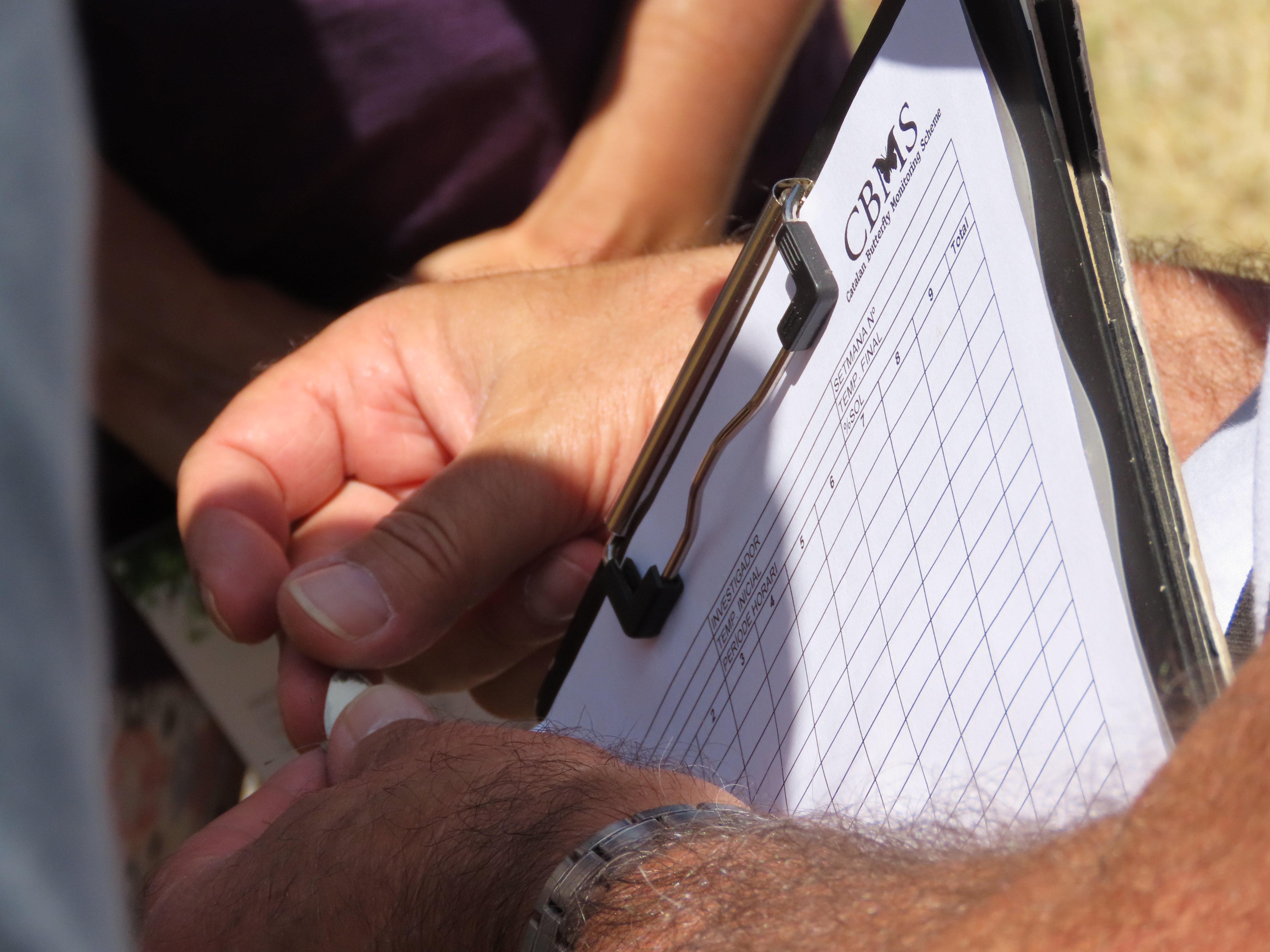 II Bioblitz del Riu Anoia