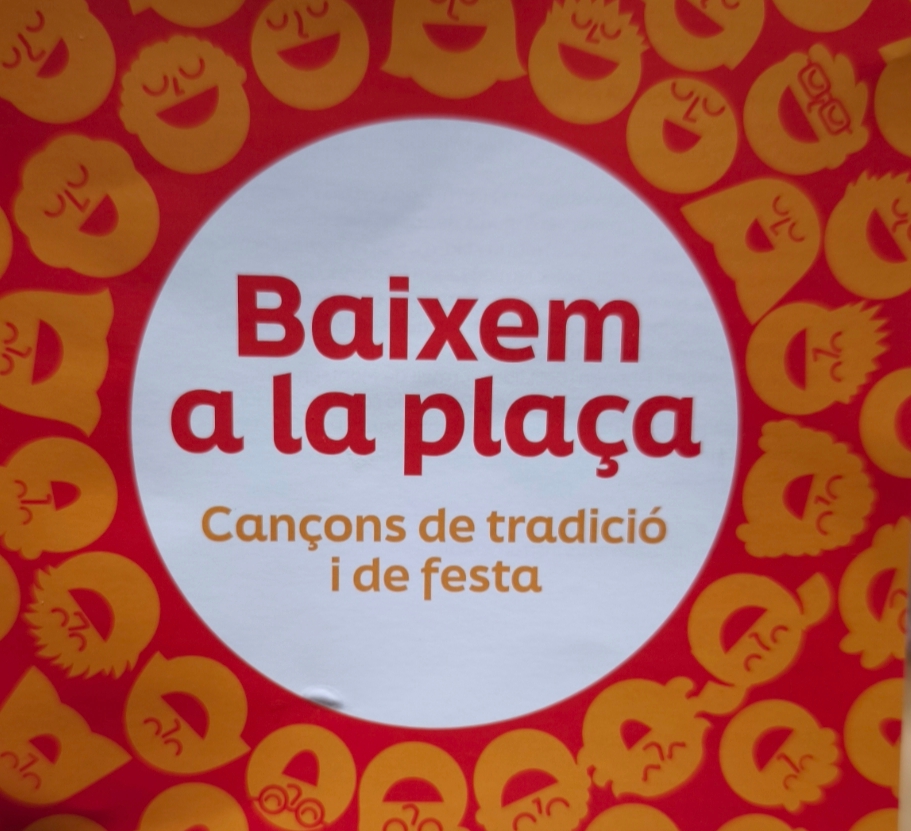 Voluntariat al concert «Baixem a plaça»